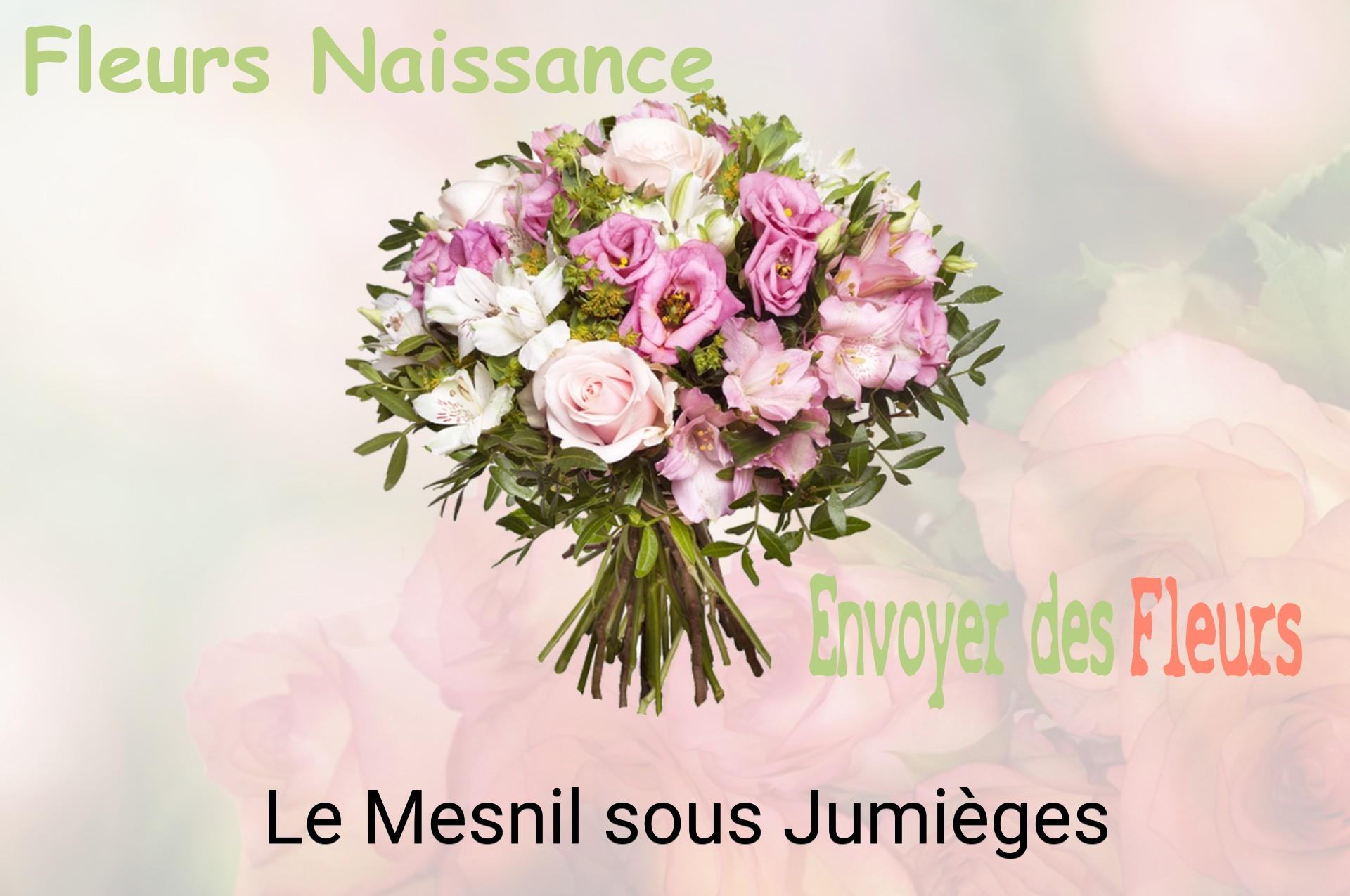 Bouquet de fleurs de naissance livré à Le Mesnil-sous-Jumièges